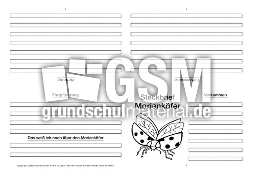 Marienkäfer-Faltbuch-vierseitig-4.pdf